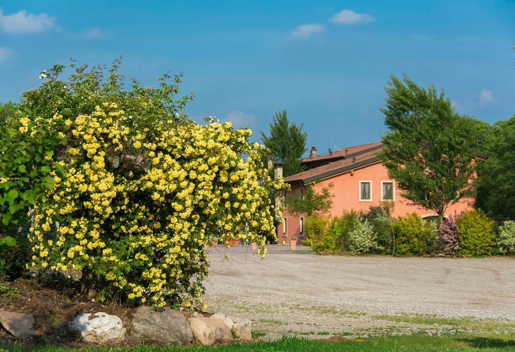 Agriturismo Corte Morandini Valeggio sul Mincio Exterior photo
